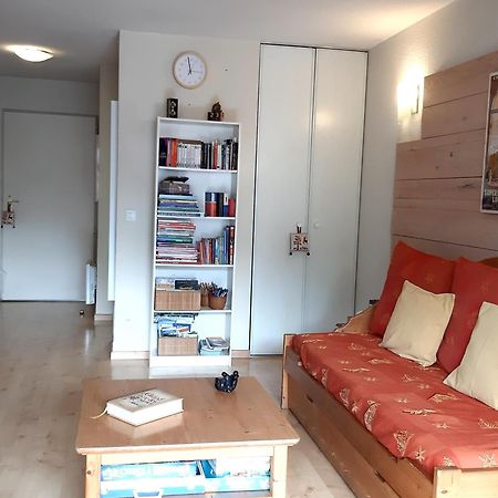 Le 102, T3 Pour 5 Personnes, Vue Montagne, Classe 2 Etoiles Nf, Parking, Piscine En Ete Bagnères-de-Luchon Exteriér fotografie